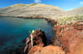 Paysage volcanique de l'île Rabida. Ile Rabida, îles Galapagos. 