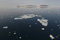 Svalbard Fjord Wahlenberg. Svalbard. 