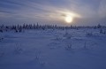 Canada Canada. Steppe en hiver. 