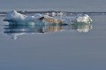 Svalbard. Iceberg. Svalbard. 