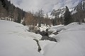  Val du Haut Boréon. L'hiver en Haute Vésubie. Parc National du Mercantour. Alpes Maritimes. 