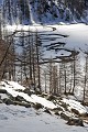  La Serpentine. Plateau du Laus. Fin de l'hiver dans le Haut Verdon. Parc National du Mercantour. Alpes de Haute Provence. 
