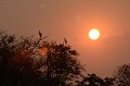  Coucher de soleil sur le Pantanal. 