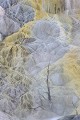  Mammoth Hot Springs. Parc National de Yellowstone 