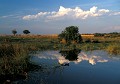 <B>Delta de l'Okavango.</b> Botswana. Delta de l'okavango. Botswana. 