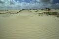  Dune de sable, Texel, Hollande, Europe; 