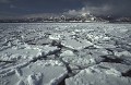  Banquise en Mer d'Okhotsk 
 l'hiver 
 au nord d'Okkaido. Japon. 
