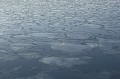  Formation de la banquise en mer d'Okhotsk. Okkaido. Japon l'hiver. 