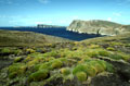 Les îles Falkland sont situées sur le 52° sud, à 500 km. au large de la Patagonie. Le vent est un hôte permanent de l'archipel mais aussi une avifaune très riche et plusieurs espèces de mammifères marins. Iles Falkland, Iles Malouines hémisphère sud. 