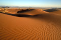  Désert du Namib Namibie 