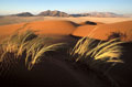  Désert du Namib en Namibie 