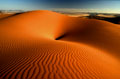  Désert du Namib en Namibie 