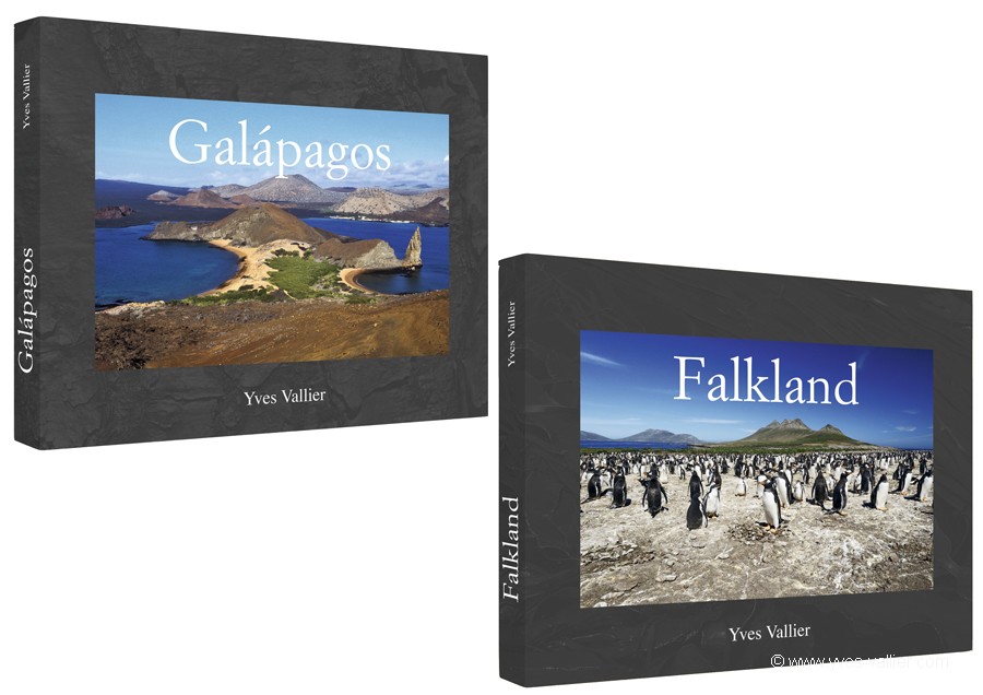 Falkland-Galapagos